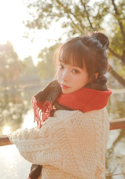 2024最新电视剧免费观看全集